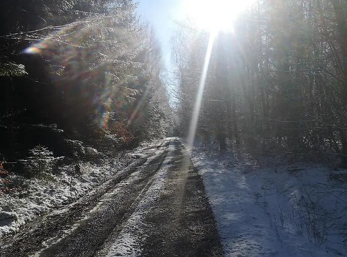 Fynnhuette Tann (Rhon)